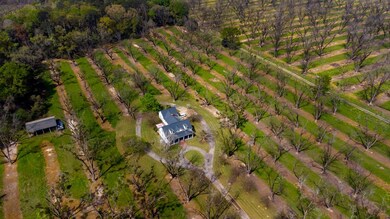 9585 Old Ga Highway 3, Baconton, GA 31716 - photo 5