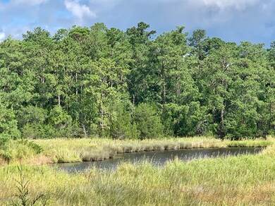 Mill creek views on one side, Neuse Rive