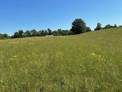 13.16 Ac Coles Chapel Rd, Sparta, TN 38583 - photo 2