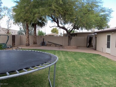 1910 N Jay St, Chandler, AZ 85225 - photo 6