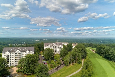 12 Mountain Laurels Dr unit U205, Nashua, NH 03062 - photo 3