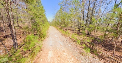 0 Wildwood Trail unit 25634053, Fairfield Bay, AR 72088 - photo 4