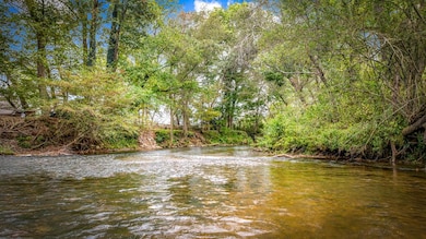 450 Cartecay River Run, Ellijay, GA 30536 - photo 2