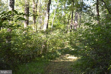 0 Freezeland Rd unit VAWR141562, Linden, VA 22642 - photo 2