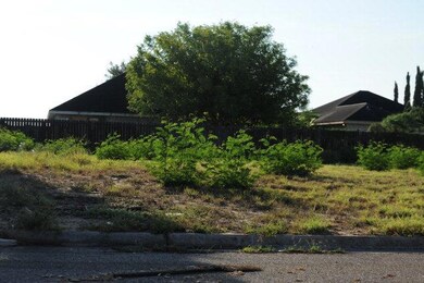830 N 7 1 2 St, Alamo, TX 78516 - photo 3