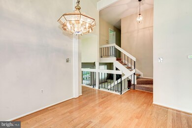 5913 Veranda Dr, Springfield, VA 22152 - photo 6