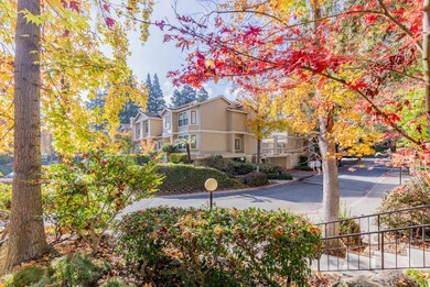 998 La Mesa Terrace unit D, Sunnyvale, CA 94086 - photo 5