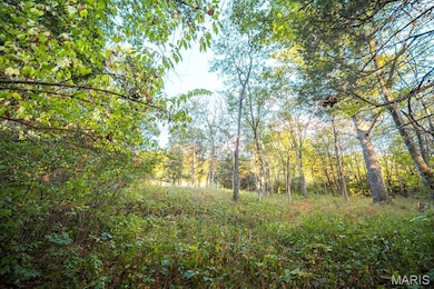 3107 Bouquet Rd, Glencoe, MO 63038 - photo 5