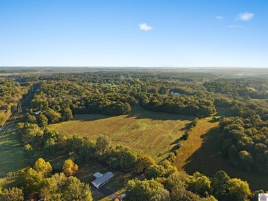 123 Crouch Dr, Calvert City, KY 42029 - photo 6