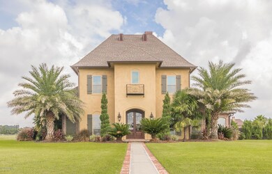 201Saddleback best front