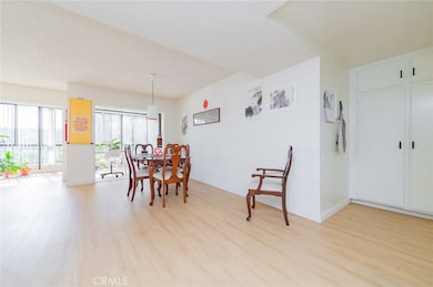 3244 San Amadeo unit 2C, Laguna Woods, CA 92637 - photo 7