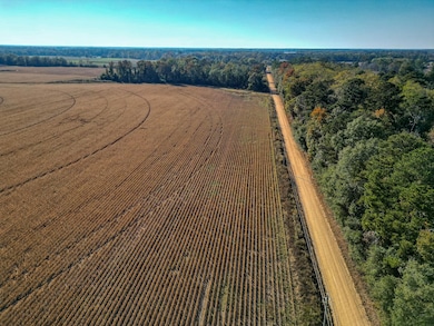 County Road 168, Morgan, GA 39866 - photo 5