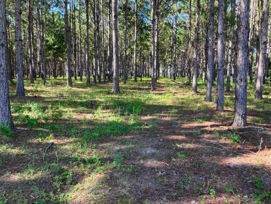 248 ac Bell Crossing Rd, Opp, AL 36467 - photo 5