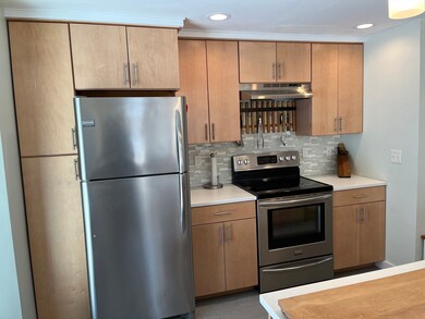 34 Wood St, Lexington, MA 02421 - photo 4