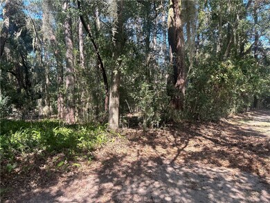 181 Rice Mill, St. Simons, GA 31522 - photo 5