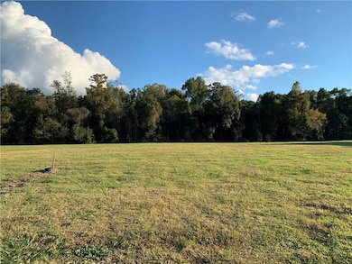 2621 Greenville Dr, Marrero, LA 70072 - photo 2