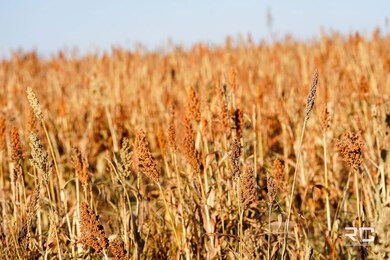 0000 US Hwy 160, Wilmore, KS 67155 - photo 7