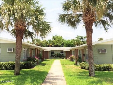 walkway w Palm trees