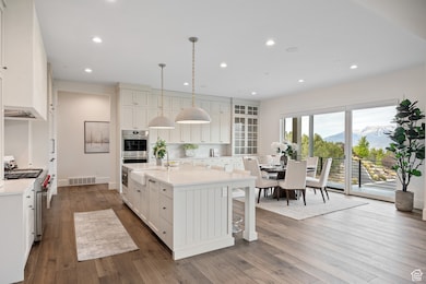Kitchen featuring a mountain view, an island with sink, pendant lighting, dark wood-type flooring, and light stone counters