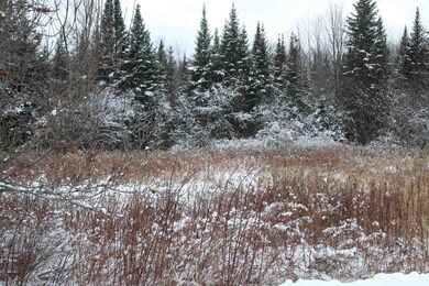 15 Mary Elizabeth Ln unit 15, Lancaster, NH 03584 - photo 6