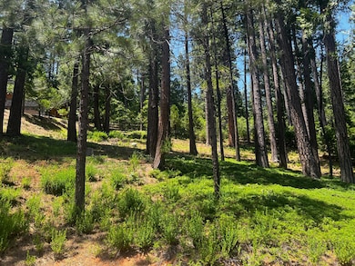 2904 Venado Dr, Arnold, CA 95223 - photo 3