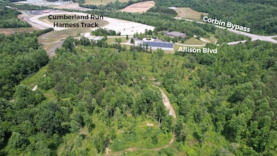 8888 Ky 3041 Bypass & Allison Blvd, Corbin, KY 40701 - photo 4