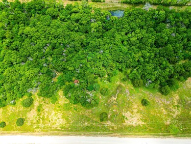 Lot 3 Grison Cir, Corsicana, TX 75109 - photo 5