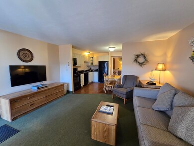 60 Mile Rd unit 9, Wells, ME 04090 - photo 3