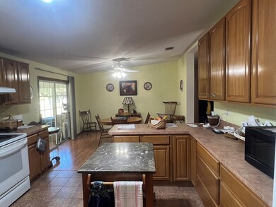 17430 NW 80 Ct, Fanning Springs, FL 32693 - photo 6