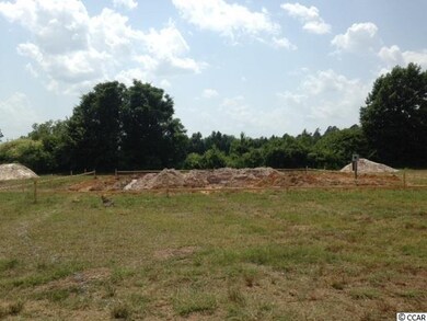 125 Brian Oaks Trail unit Brian Oaks Lot  7, Conway, SC 29527 - photo 2