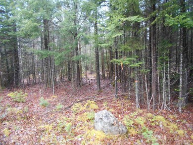 026 Mirror Lake Estates Dr unit 26, Whitefield, NH 03598 - photo 6