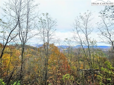 851 E Whenlin Ridge Rd, Lansing, NC 28643 - photo 4