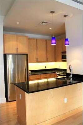 Lincoln Plaza II unit L619, Boston, MA 02111 - photo 3