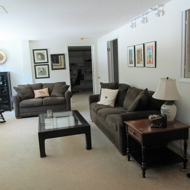 26 Crescent St unit 104, Northampton, MA 01060 - photo 6