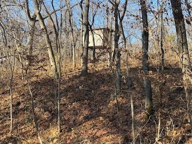 0 NE Mt Olivet Rd unit HMS2588486, Smithville, MO 64089 - photo 6