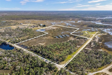 125 SW 284th Ave, Steinhatchee, FL 32359 - photo 4