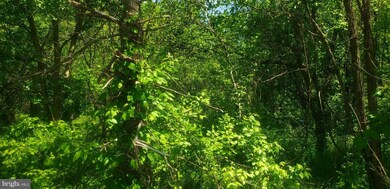 0 Homberg Ave, Essex, MD 21221 - photo 3