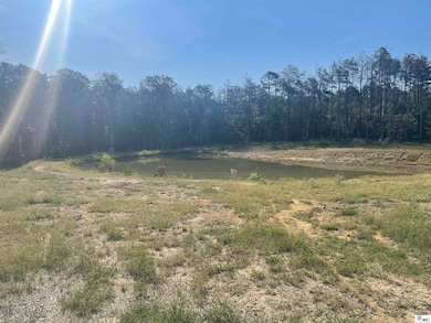 5046 Louisiana 139, Monroe, LA 71203 - photo 6