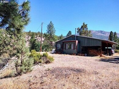 226 Scenic Dr, Canyon City, OR 97820 - photo 5