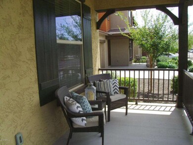Patio Looking Southward