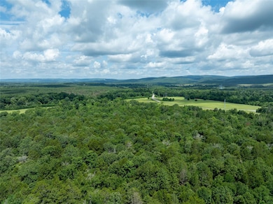 Nolia Loop, Nashoba, OK 74558 - photo 3