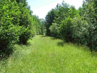 417-104.7 Marshall Hill Rd, Columbia, NH 03576 - photo 3