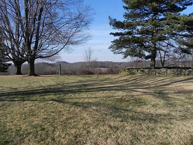 Yard/Garden. backyard