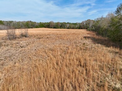 0001 Pisgah Bottom Rd, Canton, MS 39046 - photo 7