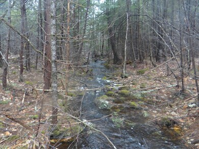 Stream