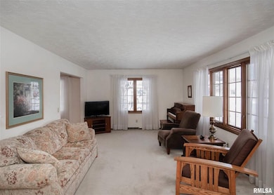 2401 3rd St, Moline, IL 61265 - photo 5