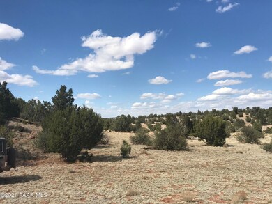 225 Off of Camp Rd, Ash Fork, AZ 86320 - photo 4