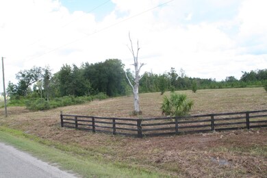 0 Wildlife Way unit 847156, Callahan, FL 32011 - photo 2