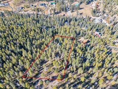 7624 Brook Forest Ln, Evergreen, CO 80439 - photo 5