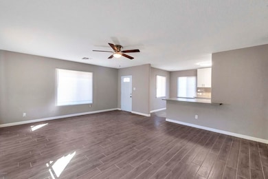 545 S Solomon, Mesa, AZ 85204 - photo 4